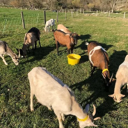 게스트하우스 A La Ferme Montesquieu-Avantes